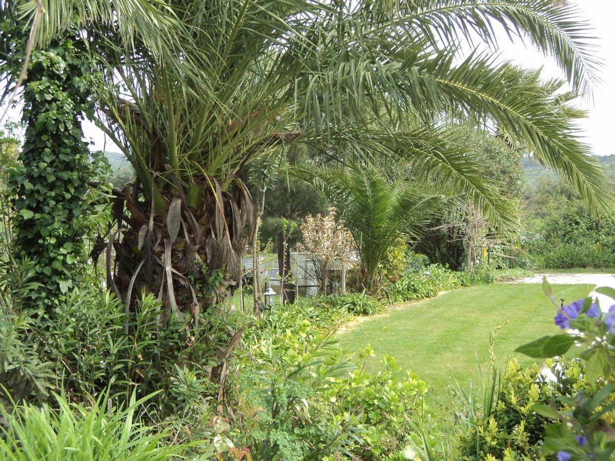 Inviting Holiday Home In Montemor O Novo With Pool Екстер'єр фото