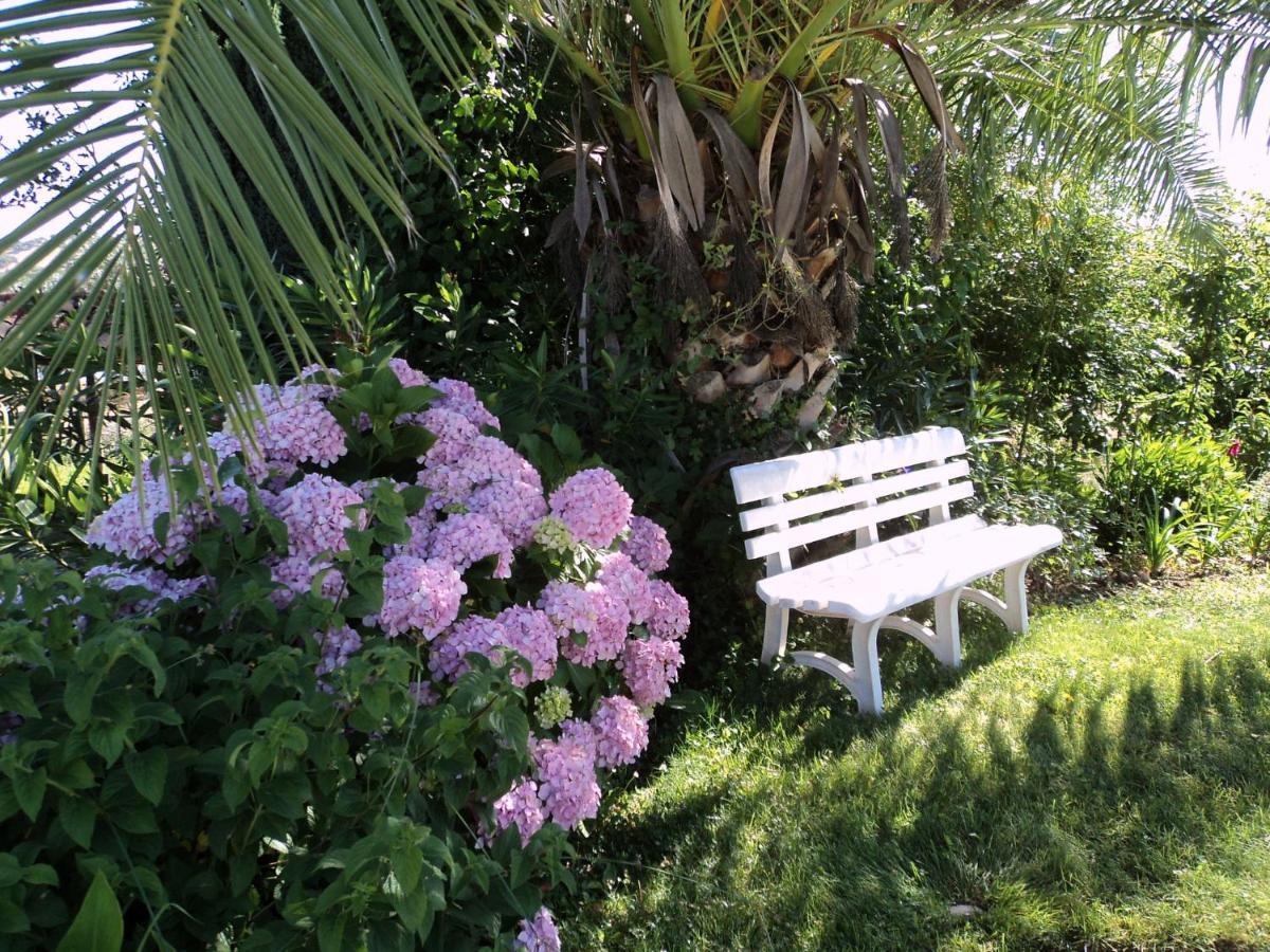 Inviting Holiday Home In Montemor O Novo With Pool Екстер'єр фото