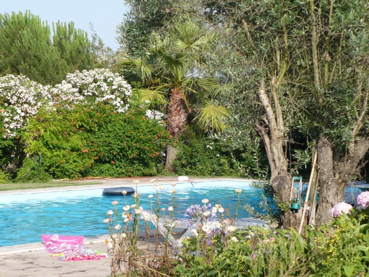 Inviting Holiday Home In Montemor O Novo With Pool Екстер'єр фото